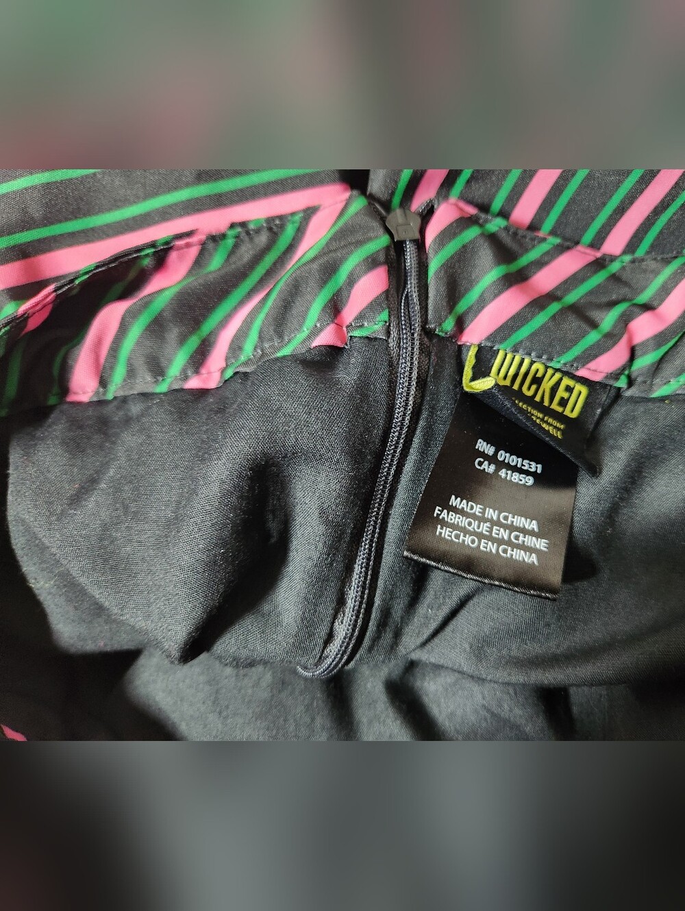 Wicked Movie by Paul Tazewell Striped Bubble Skirt Women's AKA Sorority Vibes - Picture 4 of 6